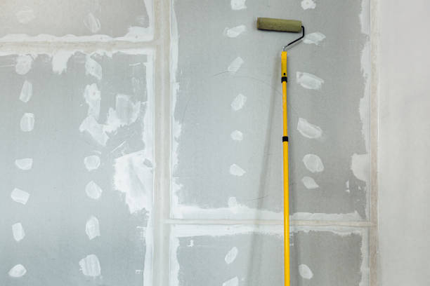Best Basement Mold Removal  in Conway Springs, KS