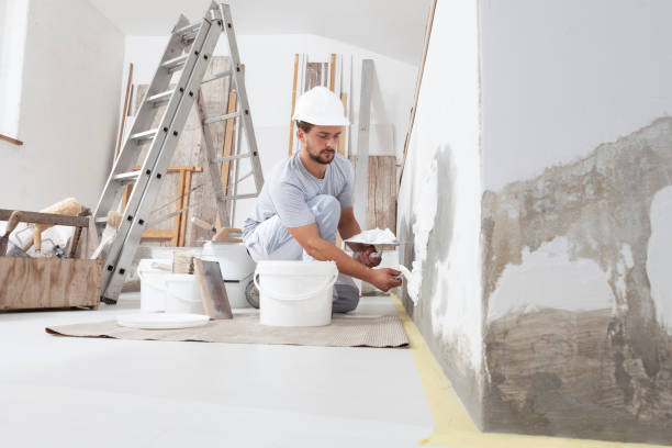Best Real Estate Mold Inspection  in Conway Springs, KS