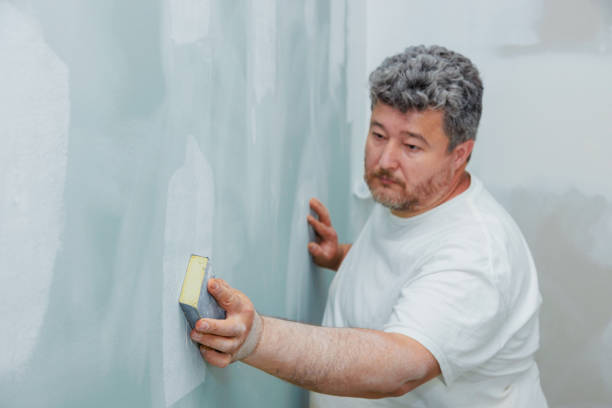 Best Comprehensive Air Testing for Mold Contaminants  in Conway Springs, KS
