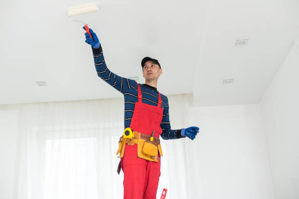  Conway Springs, KS Mold Removal Pros