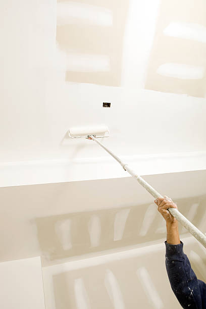 Best Mold Remediation for Healthcare Facilities  in Conway Springs, KS
