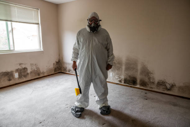 Best HVAC Mold Inspection and Cleaning  in Conway Springs, KS