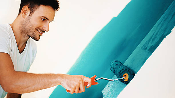 Best Mold Odor Removal Services  in Conway Springs, KS