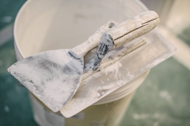 Best Forensic Mold Investigation  in Conway Springs, KS
