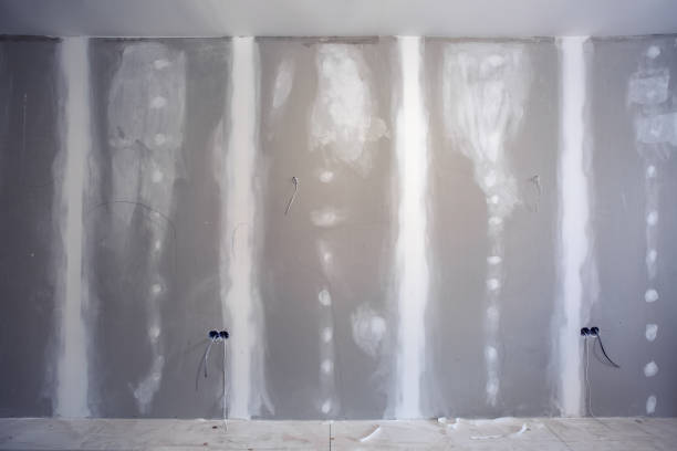 Conway Springs, KS Mold Removal Company